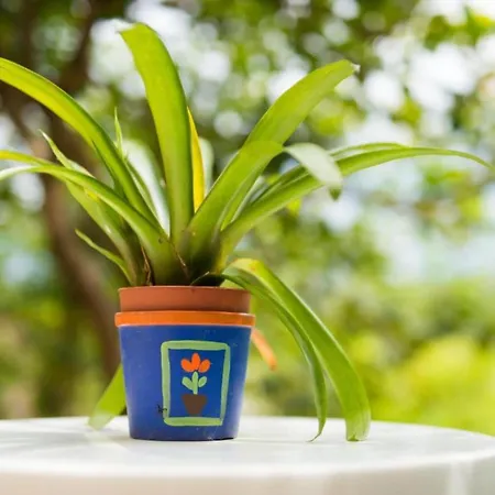 One-bedroom With View * Bara