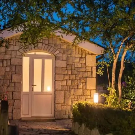 דירה One-bedroom With View *