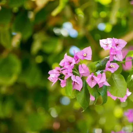 דירה One-bedroom With View Bara