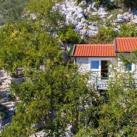 One-bedroom With View