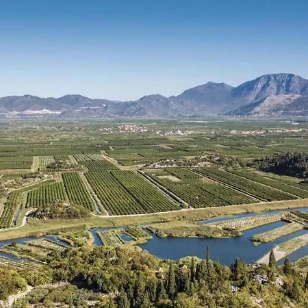 One-bedroom With View