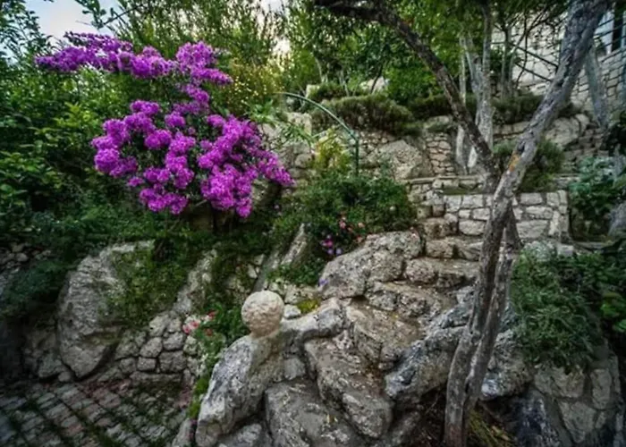 One-bedroom With View * 플로체