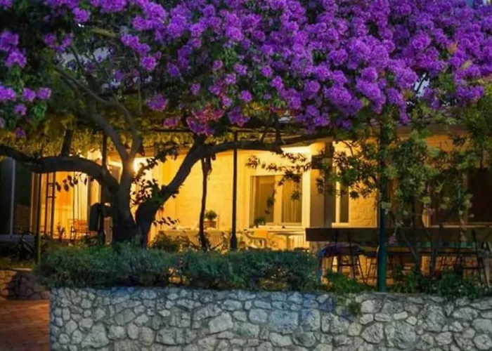 One-bedroom With View *