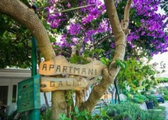 One-bedroom With View * 플로체