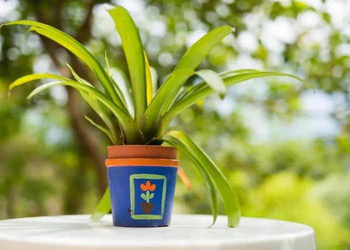 One-bedroom With View * 플로체