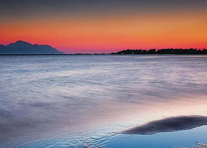 One-bedroom With View 아파트 플로체