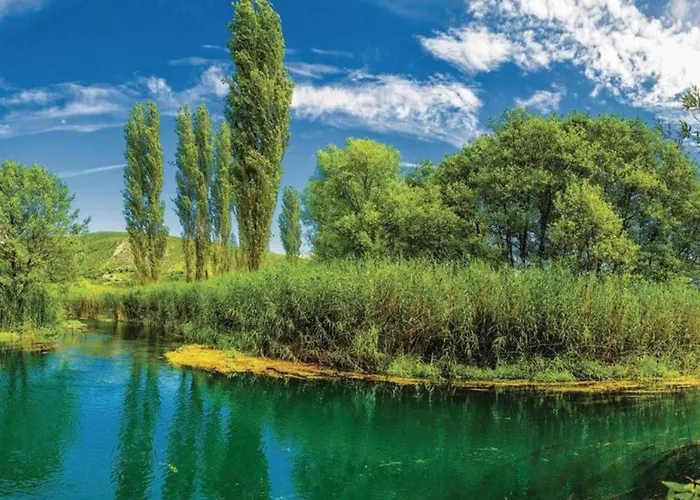 One-bedroom With View 아파트