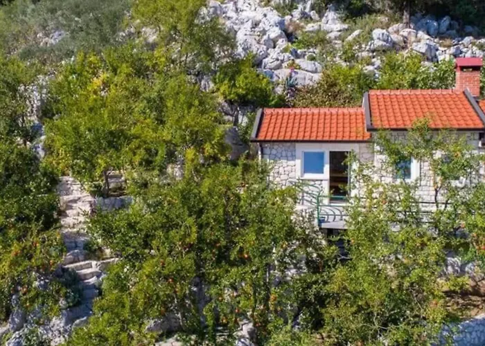 One-bedroom With View