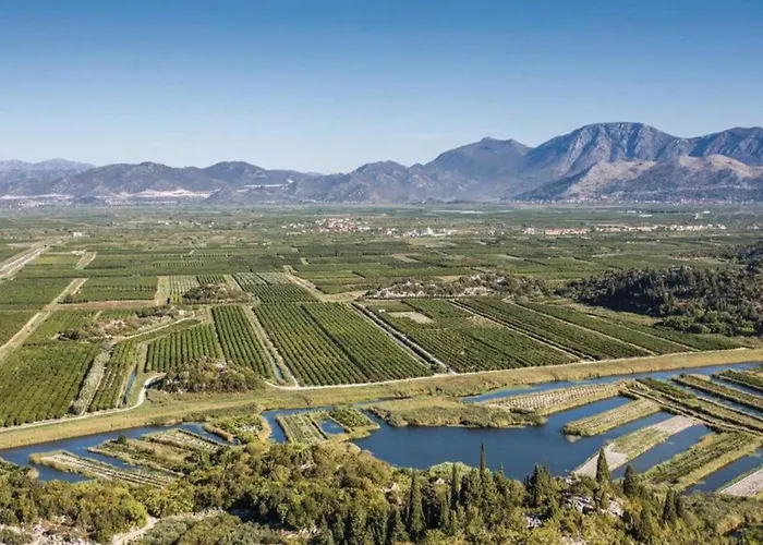 One-bedroom With View
